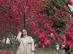 -秀丽东方