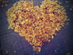 -四川大学(华西校区)