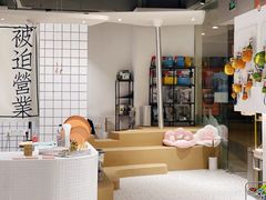 -柴务处·柴犬主题狗咖