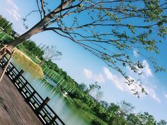 -水月周庄铂尔曼酒店 · 漾全日餐厅