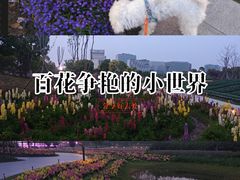 -春花秋色城市公园