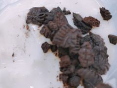 双皮奶-复旦大学本部-食堂