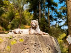 -长沙黑麋峰国家森林公园