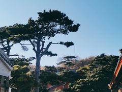 -妙峰山风景名胜区