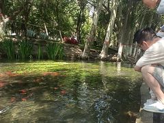 -水磨沟公园