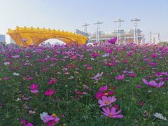 -花城苑广府菜(海心沙店)
