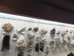 -浙江自然博物院(杭州馆)