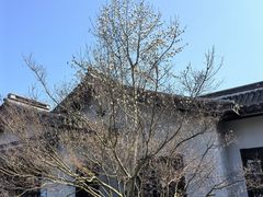 -崎本的店·专业酵种吐司(无锡万象汇店)