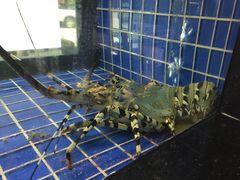 -老地方海鲜餐厅(拉古娜店)