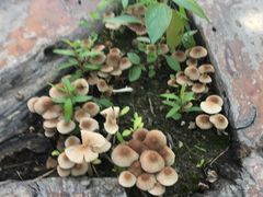 -百里峡七彩艺术小镇