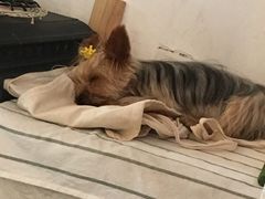 -春风十里咖啡馆