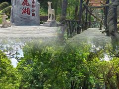 -天鹿湖森林公园