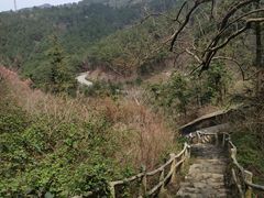 -木兰云雾山