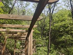 -大岭沟猕猴桃谷风景区