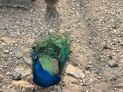 -南京金牛湖风景区