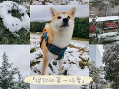 -渭河城市绿地运动公园