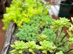 -伴山茶苑·围炉煮茶
