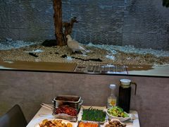 -京城·森鸽排档(双井店)