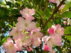 -闸弄口(地铁站)