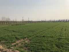 -小贝壳酒楼(经九路店)
