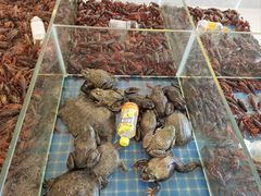 -四海蒸鲜蒸汽海鲜自助(北戴河店)