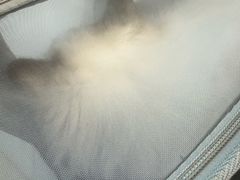 -瑞派紫金宠物医院24小时·骨科·中兽医·重症转诊中心(番禺大石院)