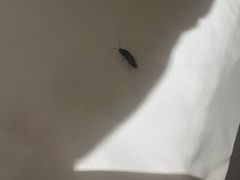 -上海漕河泾万丽酒店