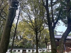 -西湖风景区十里琅珰-五云山