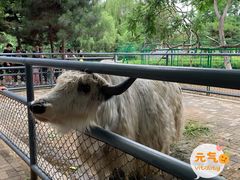 -长白岛森林公园