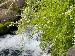 -中国茶叶博物馆(双峰馆区)