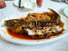 罾蹦鲤鱼-红旗饭庄