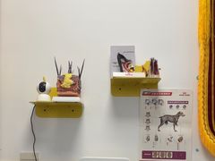 -瑞派·爱瑞可动物医院·口腔专科(广华新城分院)