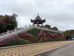 -贵州百里杜鹃风景名胜区