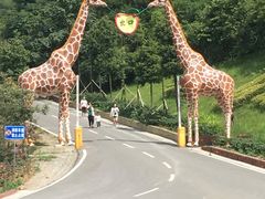 -贵州森林野生动物园