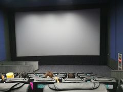 -华谊兄弟影院(北京洋桥店)