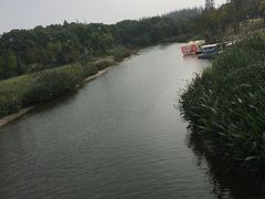 -上海长兴岛郊野公园