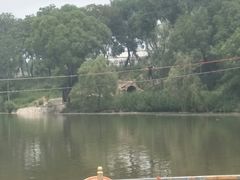 -东方巨龟苑景区