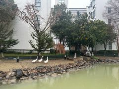 -苏州香山国际大酒店