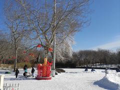 -北京亚布洛尼朝阳公园滑雪场