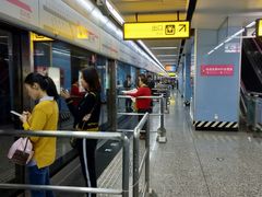 -大龙山(地铁站)