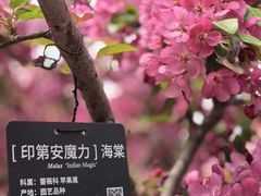 -国家植物园