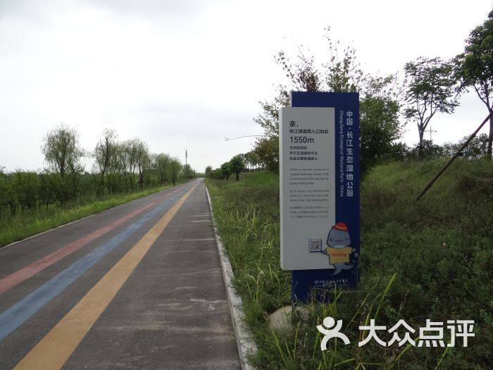 长江生态湿地公园图片 第19张