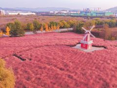 -羊亭河湿地公园