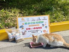 -万达广场(扬州邗江店)