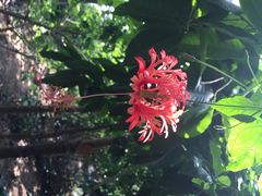 iphone_upload_pic-西安世博园