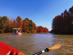 -上海海湾国家森林公园