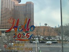 -羲和雅苑•北京烤鸭(平安国际金融中心店)