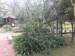 点击看大图 -莲生母婴月子中心(清水河公园店)