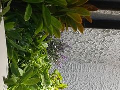 -好嫂子酱猪手•农家菜(学院南路店)