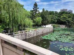 -水绘园